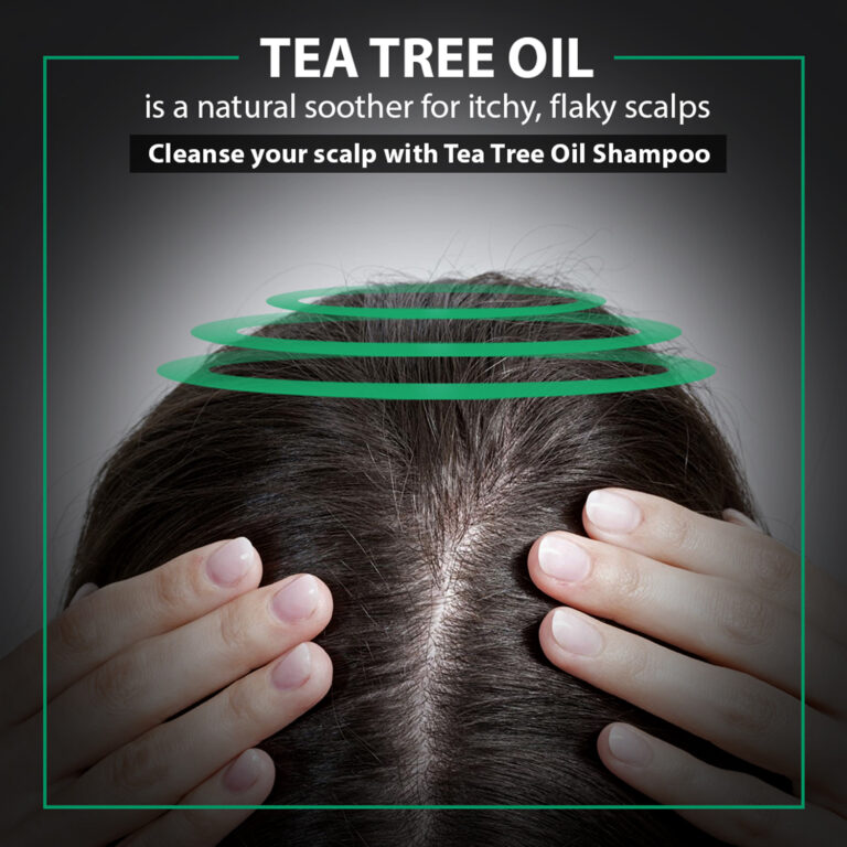 Tea tree oil is a natural soother for itchy, flaky scalps and nourish your scalp with tea tree oil hair masque